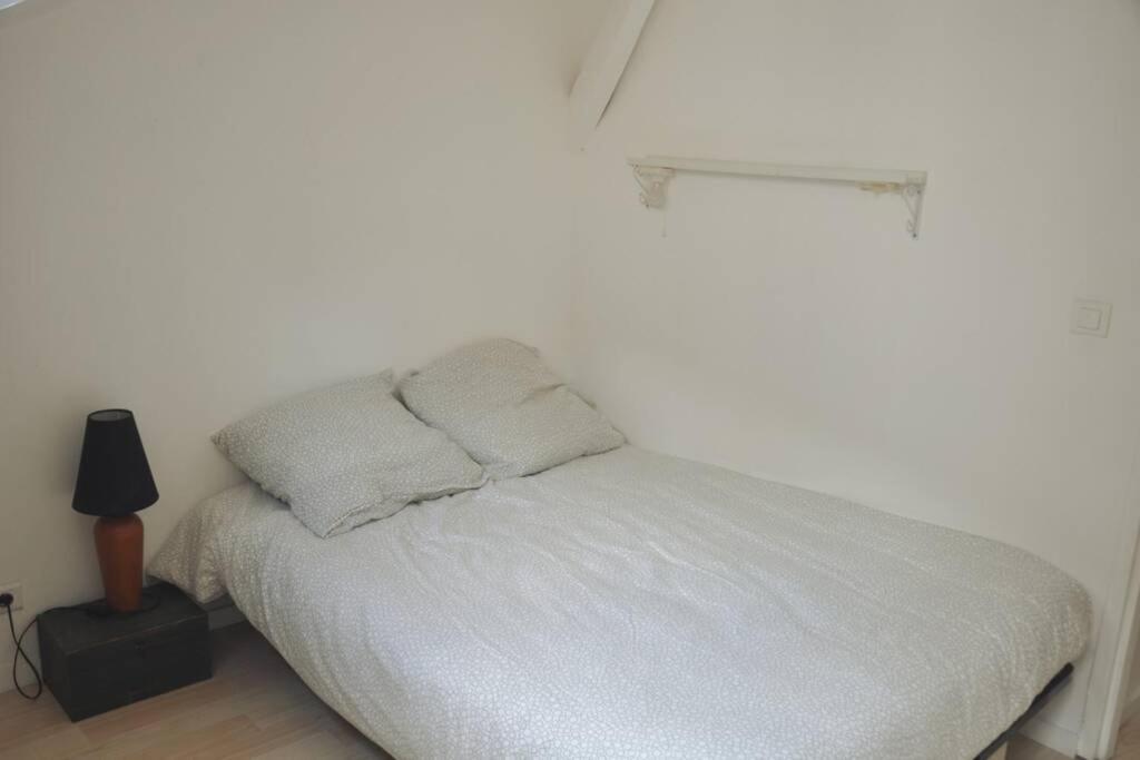 Duplex Avec Belle Terasse Au Centre De Bayonne Apartment Bagian luar foto